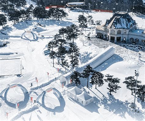 비발디 파크: 겨울의 낭만과 스릴의 공존